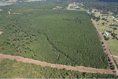 Tbd-H Lincoln Springs Rd, Gladewater, TX 75647 - Photo 6