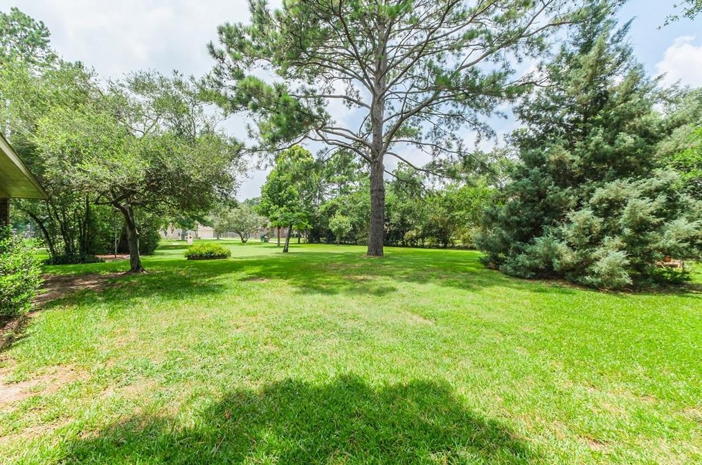 15813 Drifting Rose Dr, Cypress TX exterior