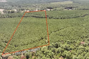 0 Sunflower Rd, Livingston, TX 77351 - Photo 1