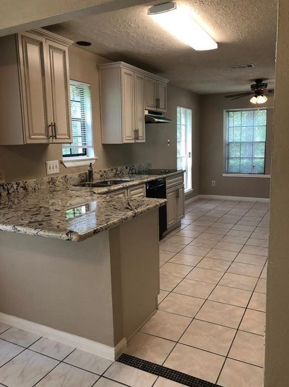 59 Rockfern Ct, Spring, TX 77380