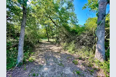 9242 Stetson Drive, Normangee, TX 77871 - Photo 4