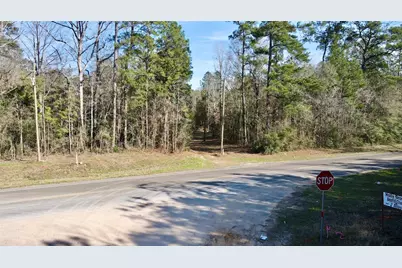 00 Fm 2798, Livingston, TX 77351 - Photo 6