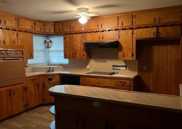 2102 Latexo Dr, Houston TX  77018-1717 exterior