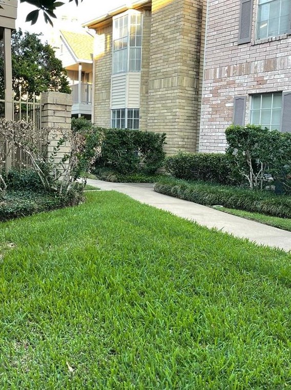 3100 Jeanetta St Apt 1206, Houston, TX 77063