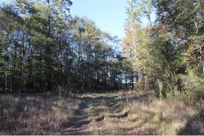 00 Tbd Tx-150, Coldspring, TX 77331 - Photo 2