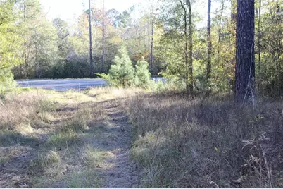 00 Tbd Tx-150, Coldspring, TX 77331 - Photo 12