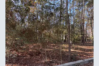 Tbd N Fairway Loop, Coldspring, TX 77331 - Photo 4