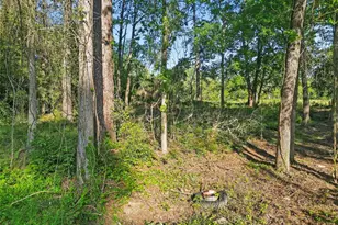 Tbd Skylane Dr, Montgomery, TX 77316 - Photo 10