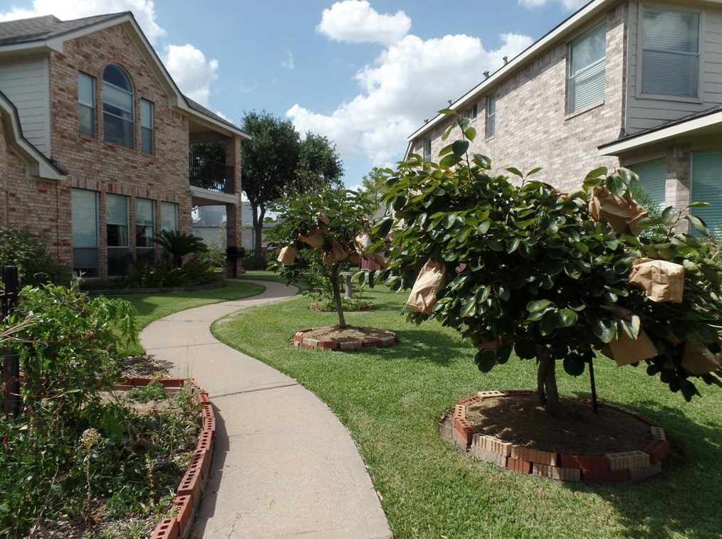 10318 Sand Dollar Dr, Houston TX  77065-3915 exterior