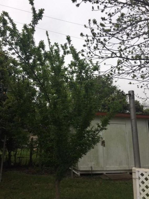 4027 Knottynold Ln, Houston TX  77053-1408 exterior