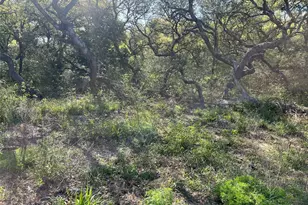 00 County Road 120, Hallettsville, TX 77964 - Photo 6