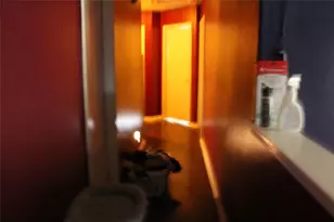 3819 Aurora Mist Ln, Houston, TX 77053 - Photo 12