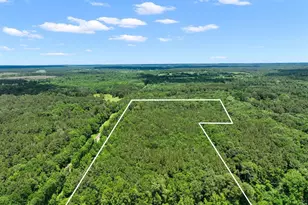8589 US Hwy 59 N, Livingston, TX 77351 - Photo 1