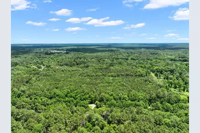 8589 US Highway 59 N, Livingston, TX 77351 - Photo 2