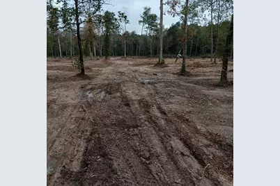 Lot 22 Plum Pudding Road, Livingston, TX 77351 - Photo 8