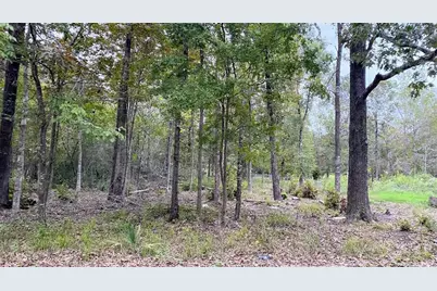 O Panther Lane, Livingston, TX 77351 - Photo 1