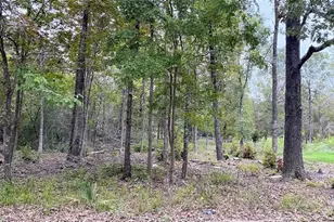 O Panther Ln, Livingston, TX 77351 - Photo 1