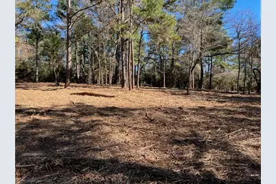 0040 County Road 302, Plantersville, TX 77363 - Photo 18