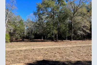 0040 County Road 302, Plantersville, TX 77363 - Photo 34