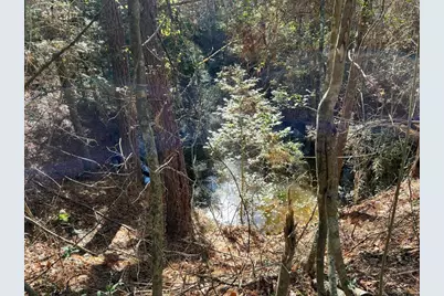 0040 County Road 302, Plantersville, TX 77363 - Photo 28