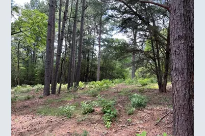 0040 County Road 302, Plantersville, TX 77363 - Photo 2