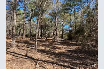 0040 County Road 302, Plantersville, TX 77363 - Photo 20