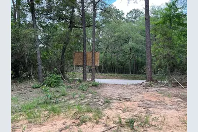 0040 County Road 302, Plantersville, TX 77363 - Photo 12