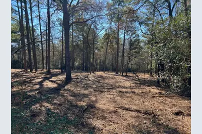 0040 County Road 302, Plantersville, TX 77363 - Photo 14