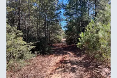 0040 County Road 302, Plantersville, TX 77363 - Photo 32