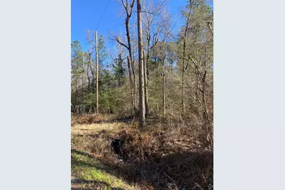 Lot 14 Sherwood Drive, Shepherd, TX 77371 - Photo 6