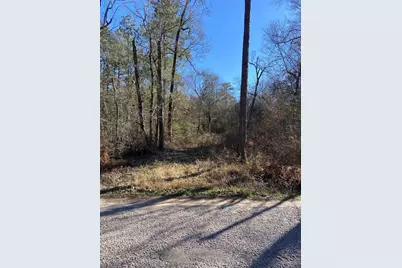 Lot 14 Sherwood Drive, Shepherd, TX 77371 - Photo 2