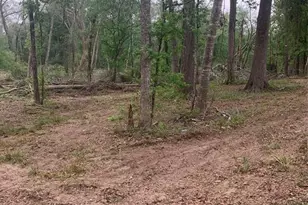 00 Lakewood Dr, Splendora, TX 77372 - Photo 2