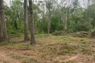 00 Lakewood Dr, Splendora, TX 77372 - Photo 4