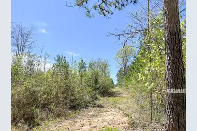 3 Fm 942, Camden, TX 75934 - Photo 2