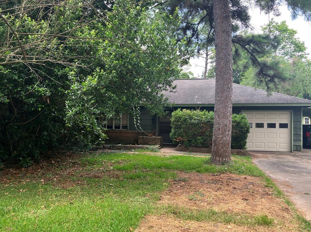 1503 Auline Ln, Houston, TX 77055-5017