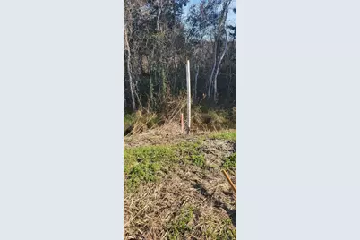 0 County Road 168, Alvin, TX 77511 - Photo 16