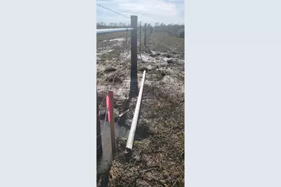 0 County Road 168, Alvin, TX 77511 - Photo 10