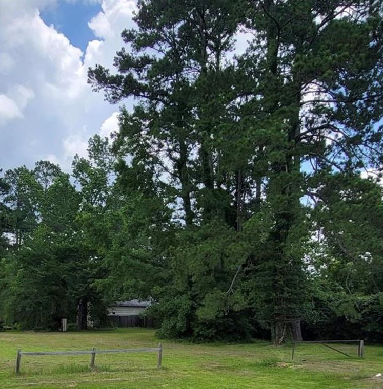8414 Rolling Oaks Dr, Spring TX  77389-3031 exterior