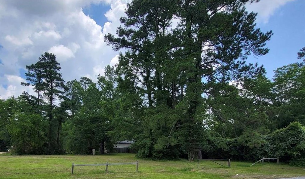 8414 Rolling Oaks Dr, Spring TX  77389-3031 exterior