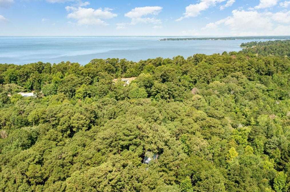 308 Lakeshore Pt, Livingston, TX 77351-2911