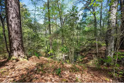 Tbd County Road 138, Jasper, TX 75951 - Photo 2