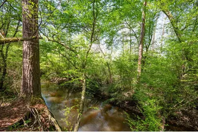 Tbd County Road 138, Jasper, TX 75951 - Photo 10