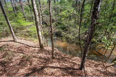 Tbd County Road 138, Jasper, TX 75951 - Photo 4