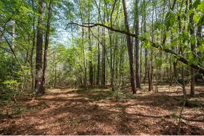 Tbd County Road 138, Jasper, TX 75951 - Photo 8