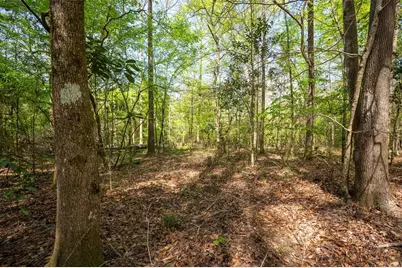 Tbd County Road 138, Jasper, TX 75951 - Photo 6