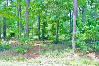 Lot 695 Lake Shore Drive, Coldspring, TX 77331 - Photo 14