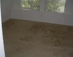 8306 Blue Quail Dr, Missouri City, TX 77489
