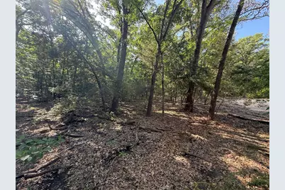 Tract 2 Fcr 611, Teague, TX 75860 - Photo 8