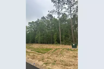 1138 County Road 6324, Dayton, TX 77535 - Photo 4