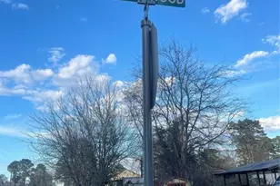 11369 Underwood, Willis, TX 77318 - Photo 6